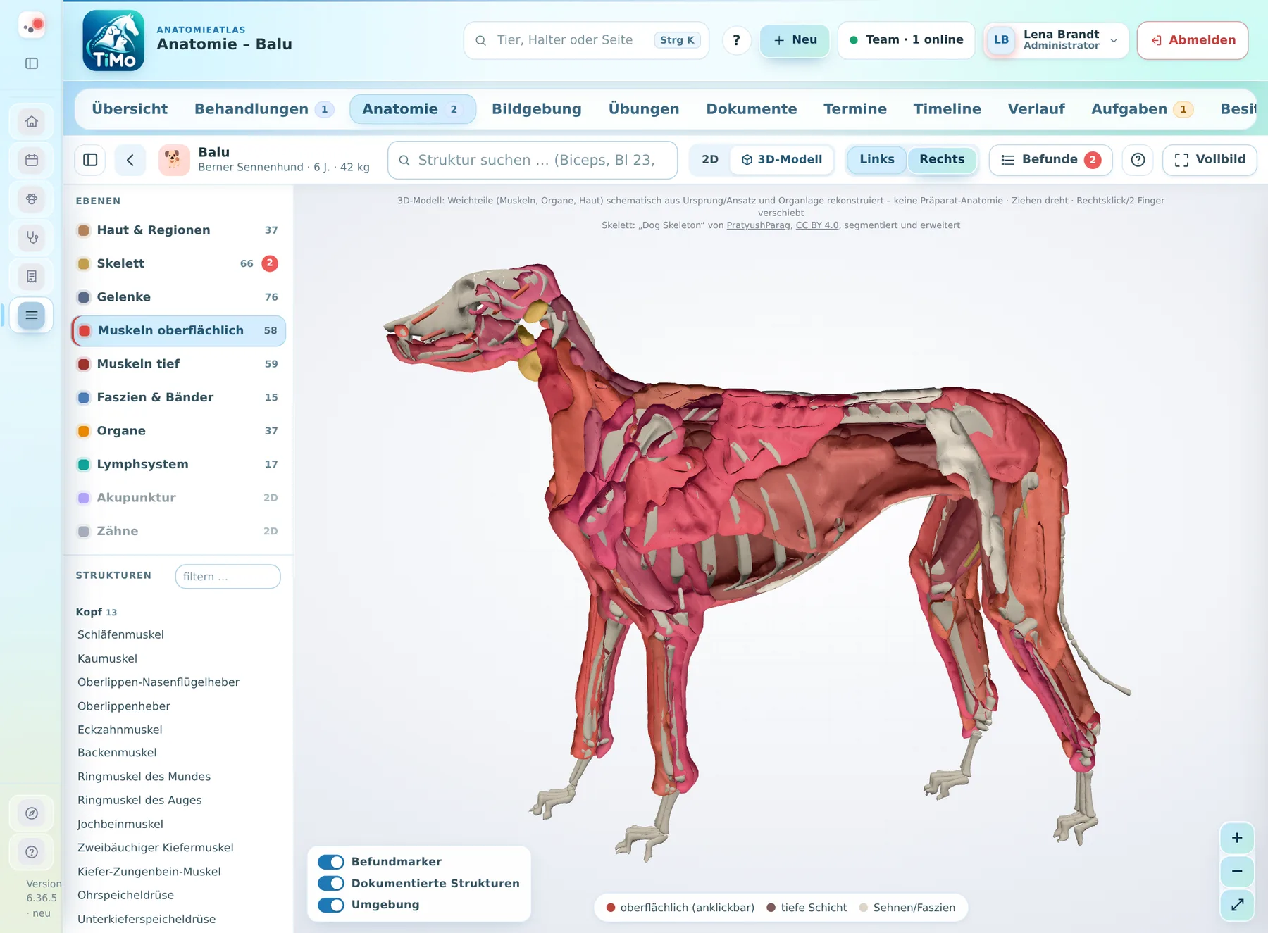 3D-Atlas Hund