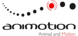 animotion – Animal and Motion